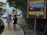 Tips de viajero: Cocodrilos en Cancún